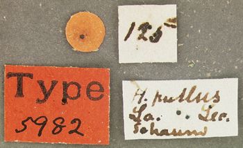 Media type: image;   Entomology 5982 Aspect: labels
